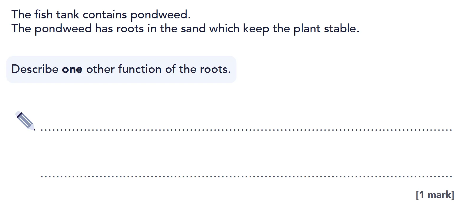 example question about root function